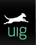 UIG Logo